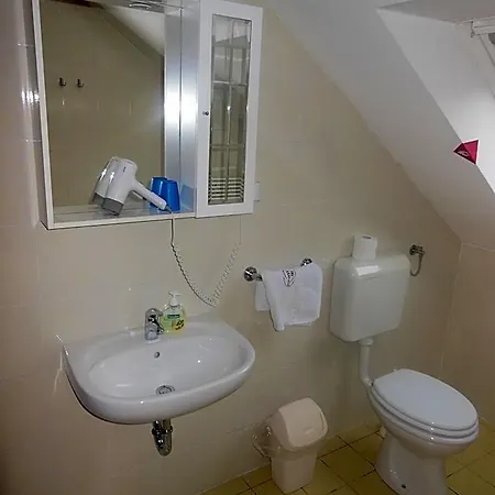 فندق Pri Belokranjcu 3*